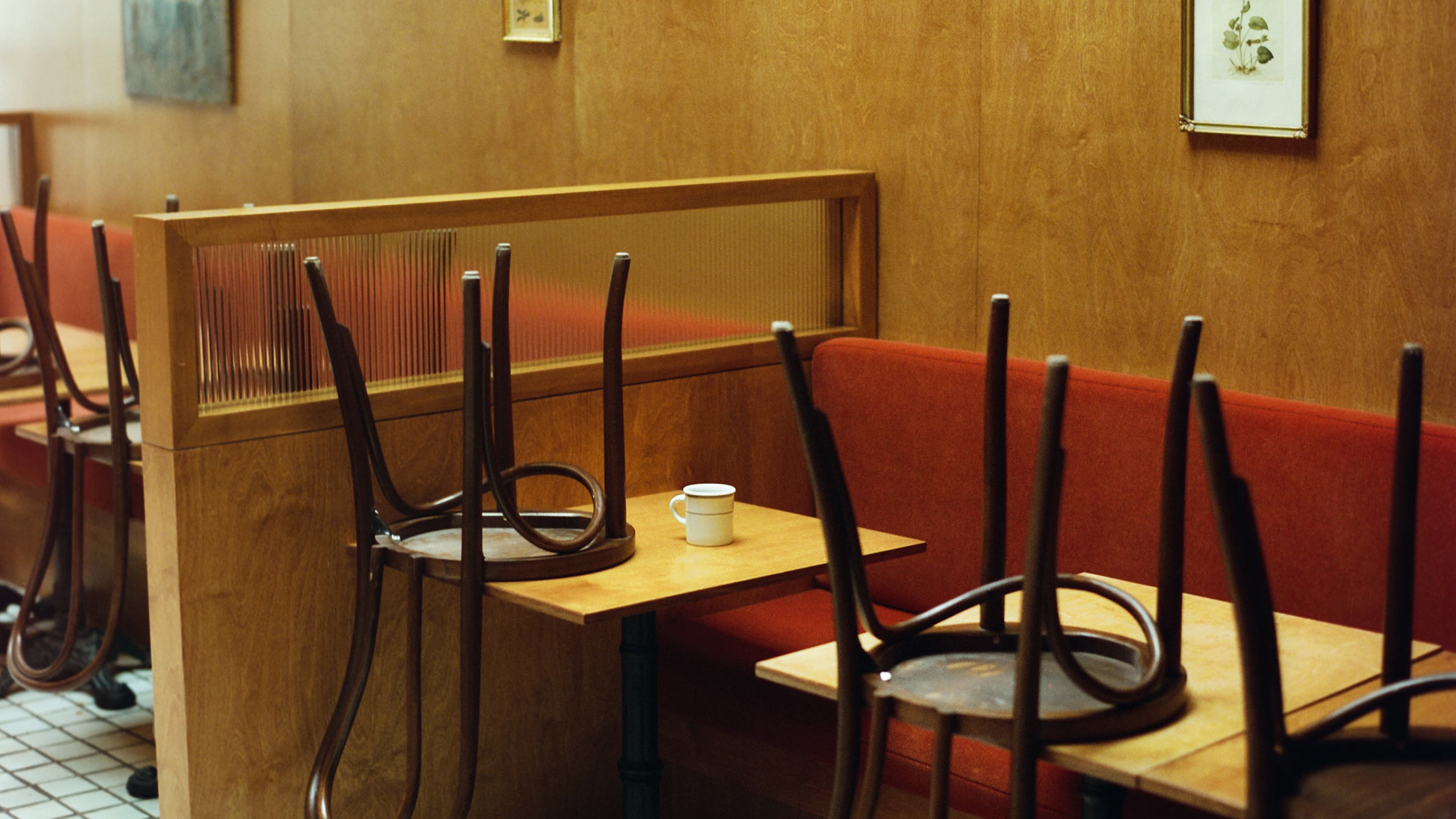 Still Life