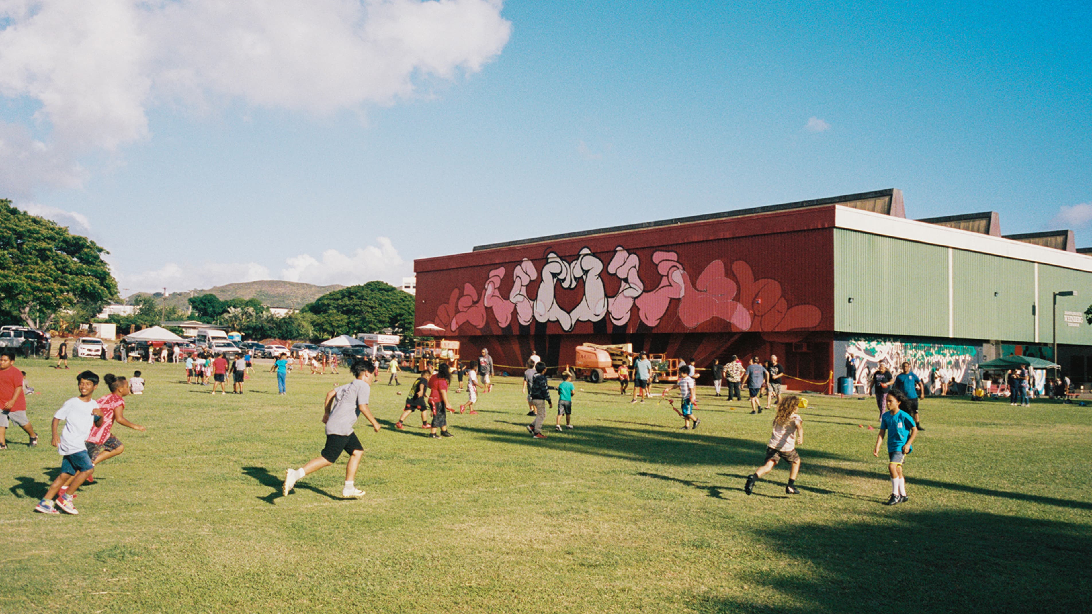 hawaiiwalls ja125a