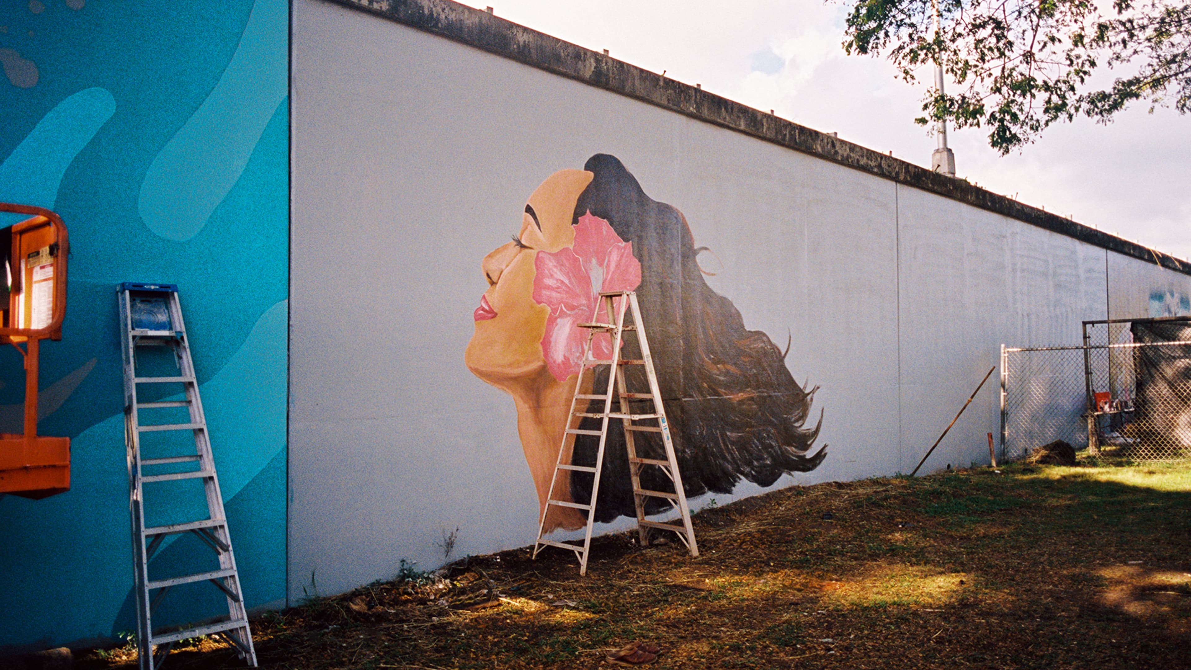 Hawaii Walls