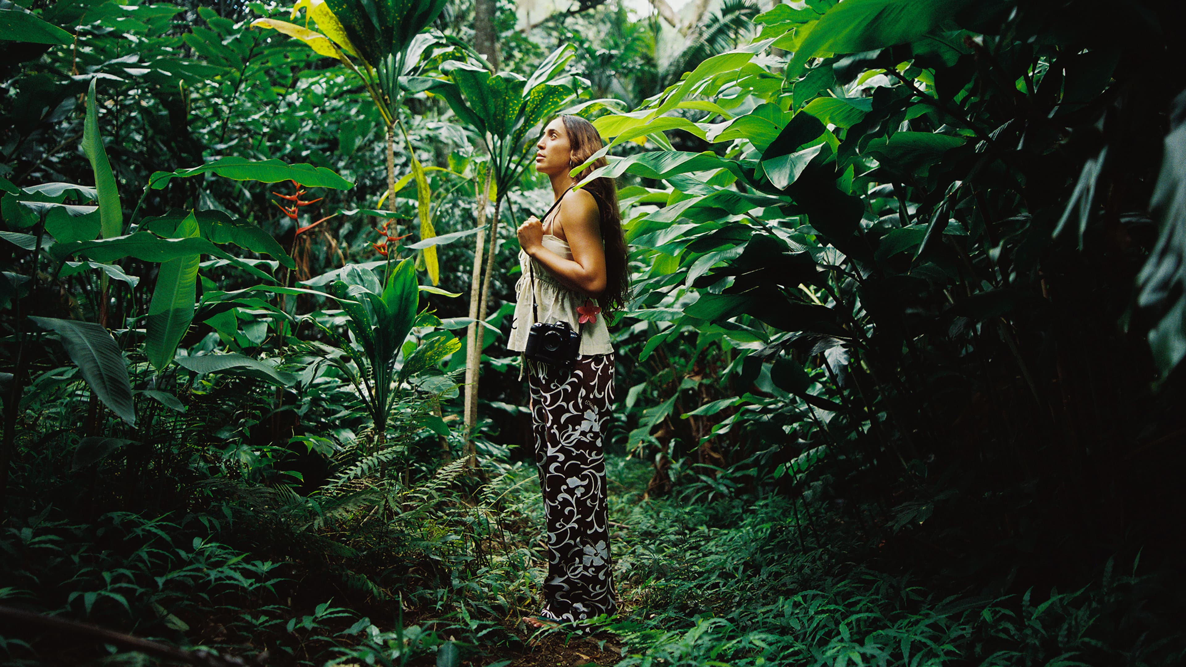 School of Photography